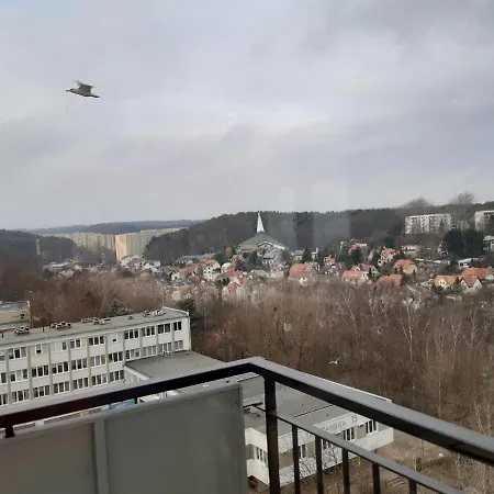 Viewpoint * 소포트